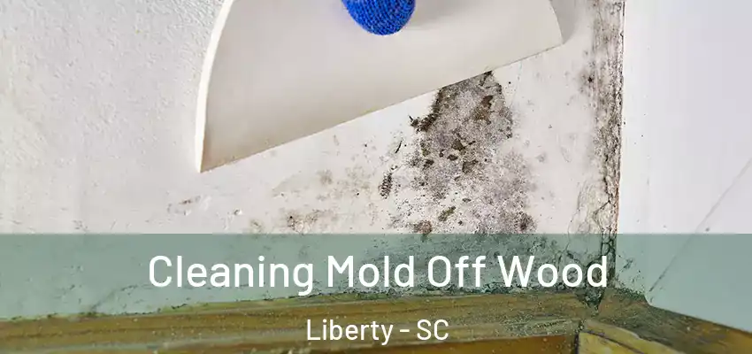 Cleaning Mold Off Wood Liberty - SC