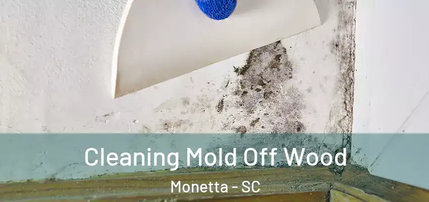 Cleaning Mold Off Wood Monetta - SC