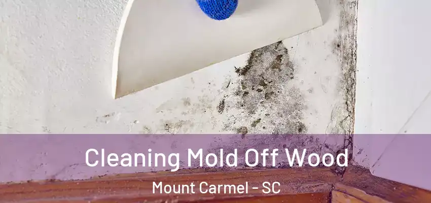 Cleaning Mold Off Wood Mount Carmel - SC