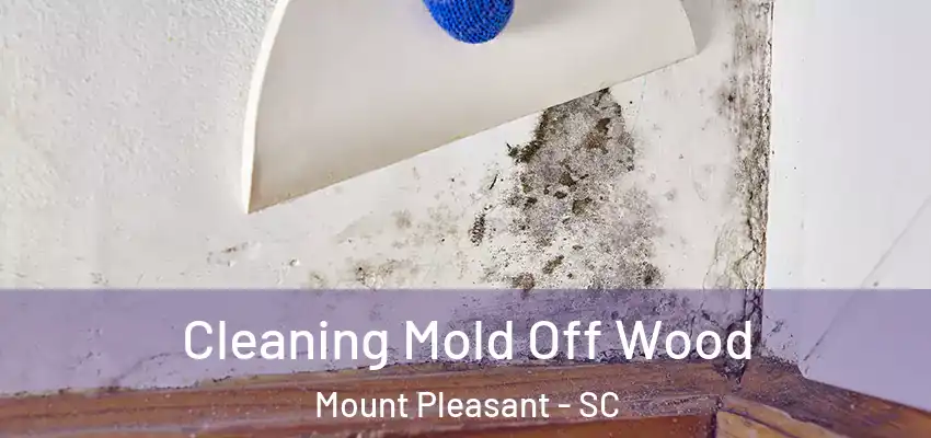 Cleaning Mold Off Wood Mount Pleasant - SC