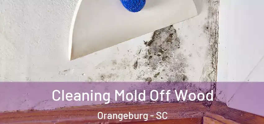 Cleaning Mold Off Wood Orangeburg - SC