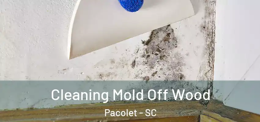 Cleaning Mold Off Wood Pacolet - SC