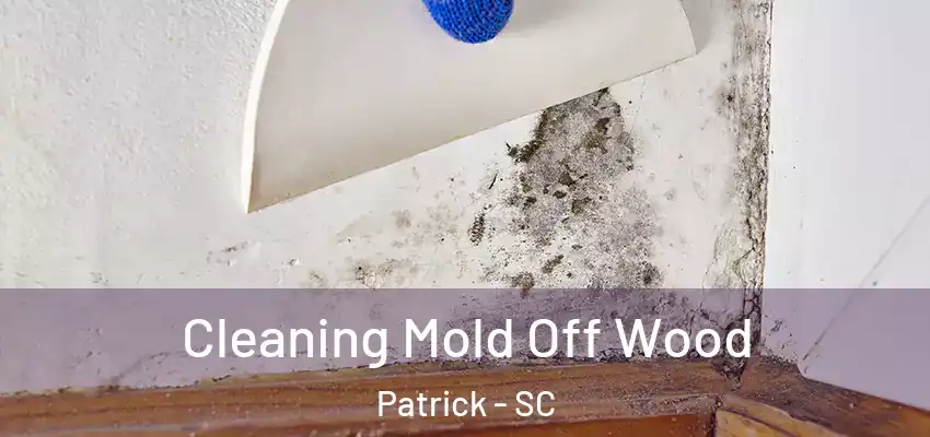  Cleaning Mold Off Wood Patrick - SC