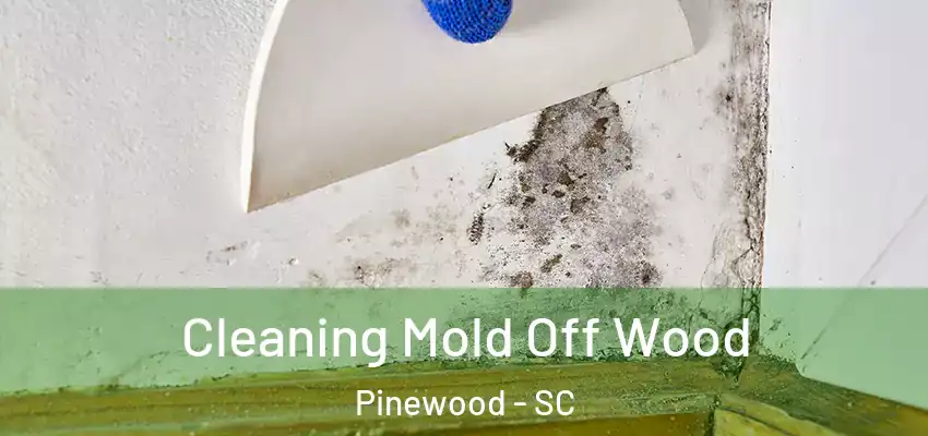  Cleaning Mold Off Wood Pinewood - SC
