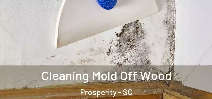  Cleaning Mold Off Wood Prosperity - SC