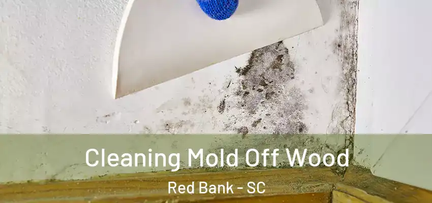 Cleaning Mold Off Wood Red Bank - SC
