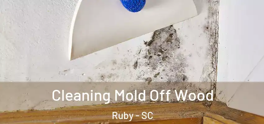 Cleaning Mold Off Wood Ruby - SC