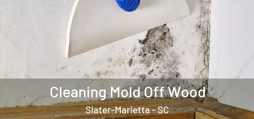 Cleaning Mold Off Wood Slater-Marietta - SC