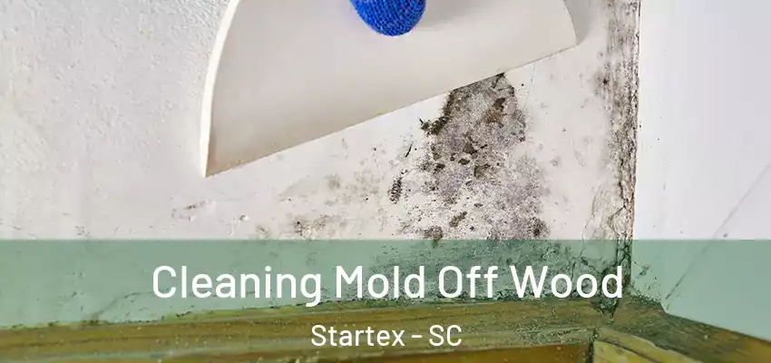  Cleaning Mold Off Wood Startex - SC