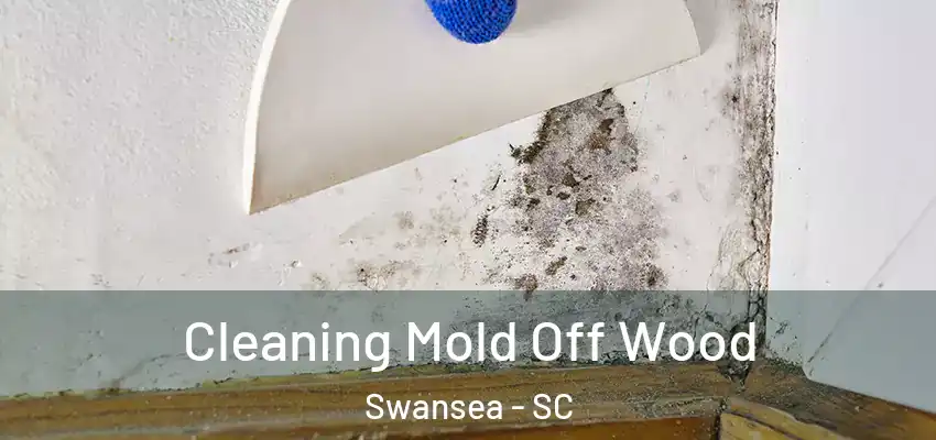 Cleaning Mold Off Wood Swansea - SC
