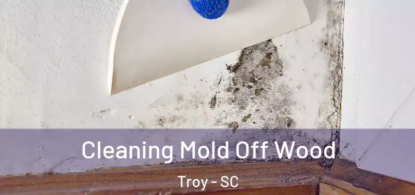 Cleaning Mold Off Wood Troy - SC