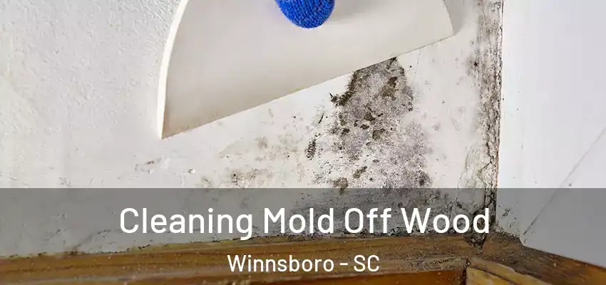 Cleaning Mold Off Wood Winnsboro - SC