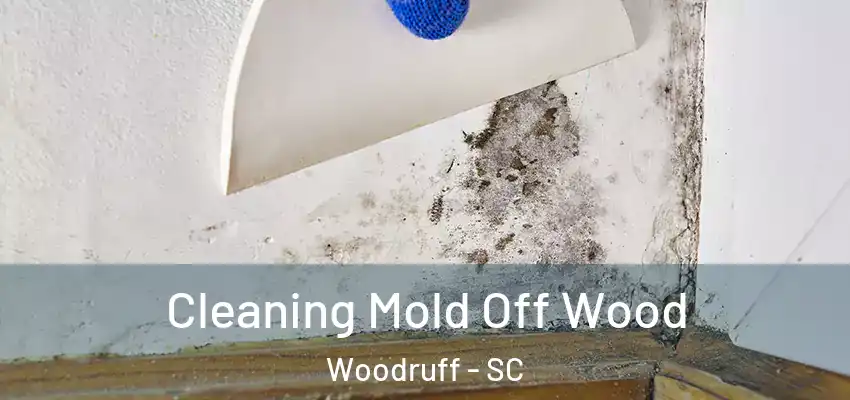  Cleaning Mold Off Wood Woodruff - SC