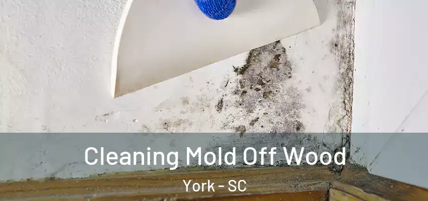  Cleaning Mold Off Wood York - SC