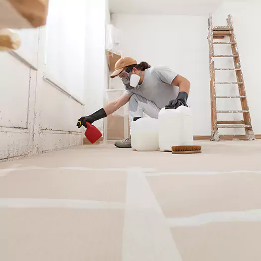 Reliable Mold Stain Remover Specialists in Sumter, SC