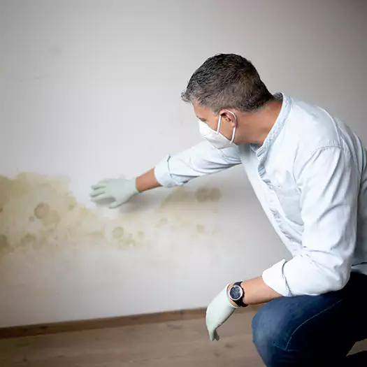 Trusted Mold Remediation and Removal Experts in Sumter, SC
