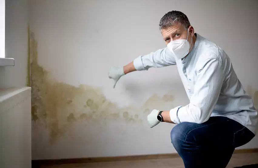 Mold Removal in Sumter, SC