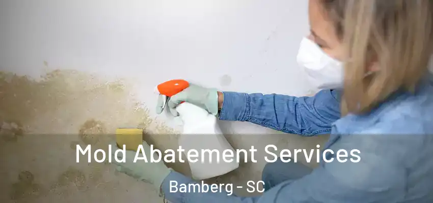 Mold Abatement Services Bamberg - SC