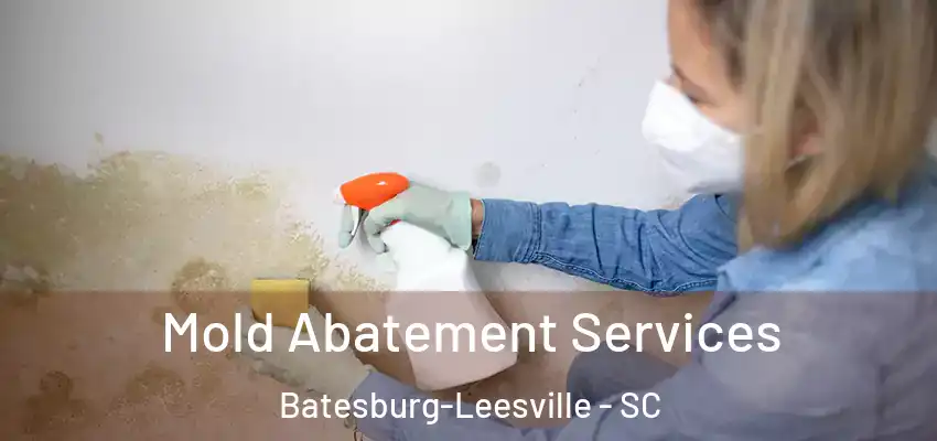 Mold Abatement Services Batesburg-Leesville - SC