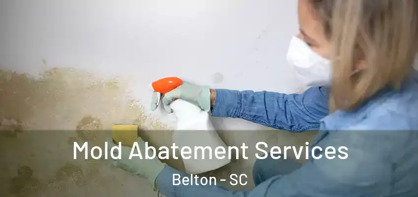  Mold Abatement Services Belton - SC