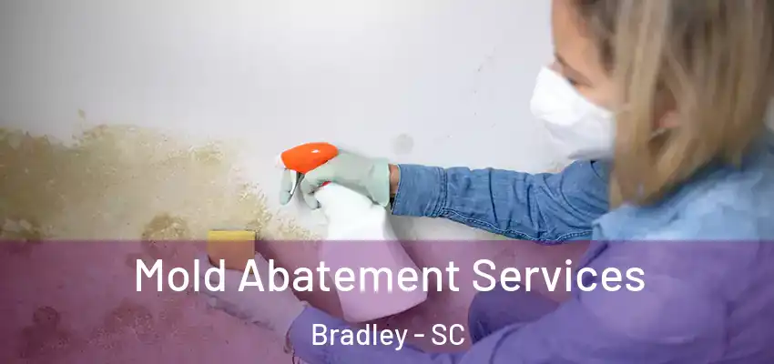 Mold Abatement Services Bradley - SC