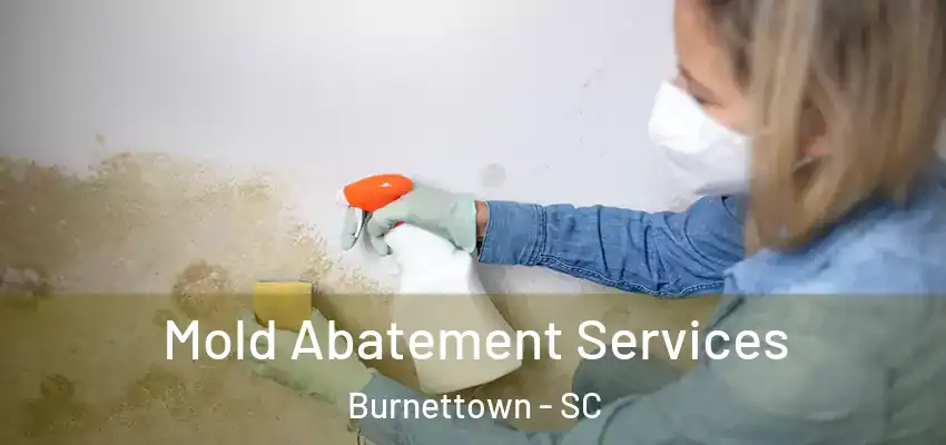  Mold Abatement Services Burnettown - SC