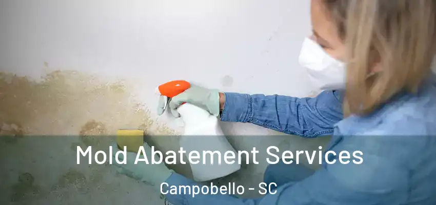 Mold Abatement Services Campobello - SC
