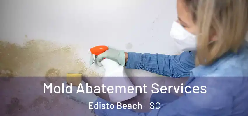  Mold Abatement Services Edisto Beach - SC