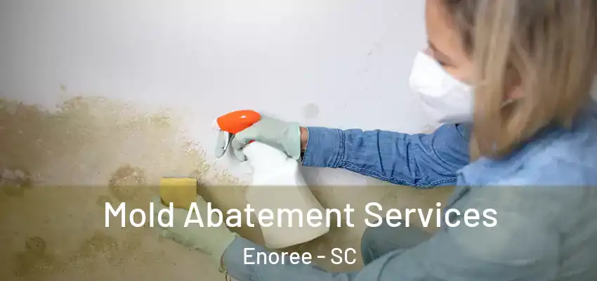  Mold Abatement Services Enoree - SC