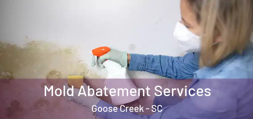 Mold Abatement Services Goose Creek - SC