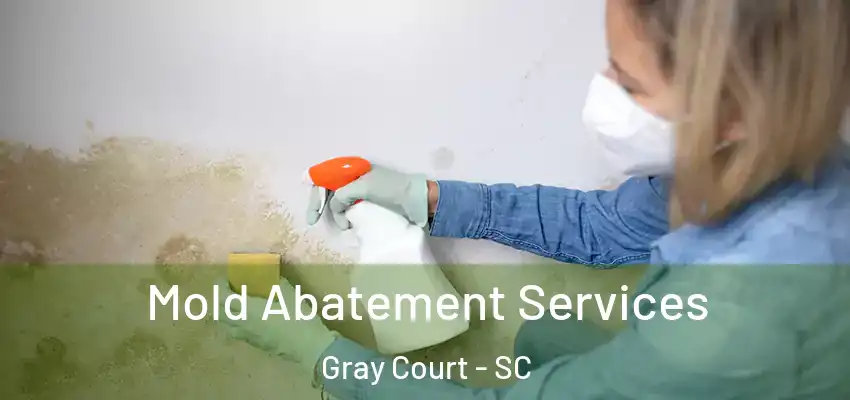 Mold Abatement Services Gray Court - SC