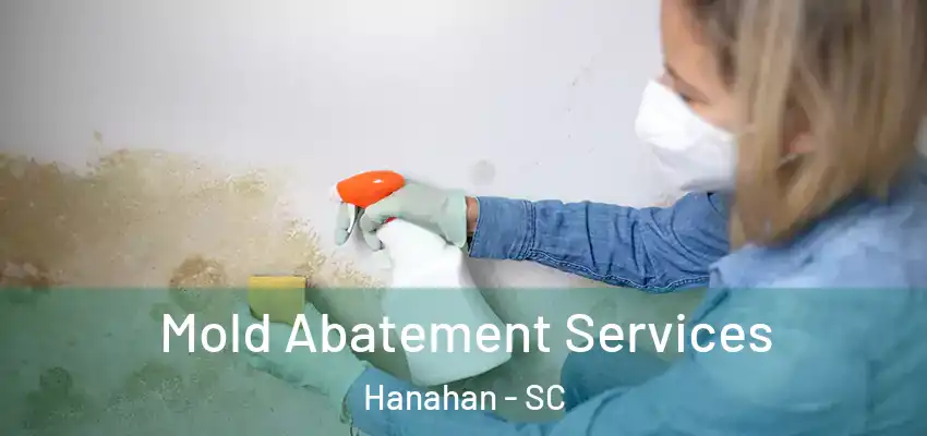  Mold Abatement Services Hanahan - SC