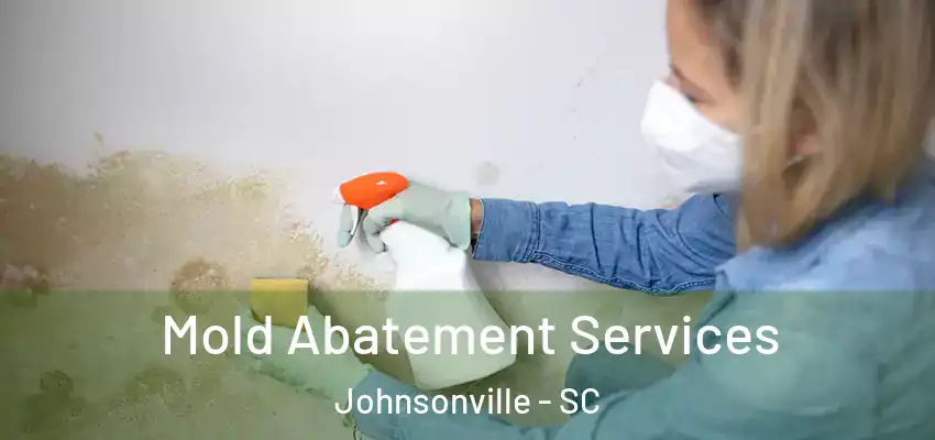  Mold Abatement Services Johnsonville - SC