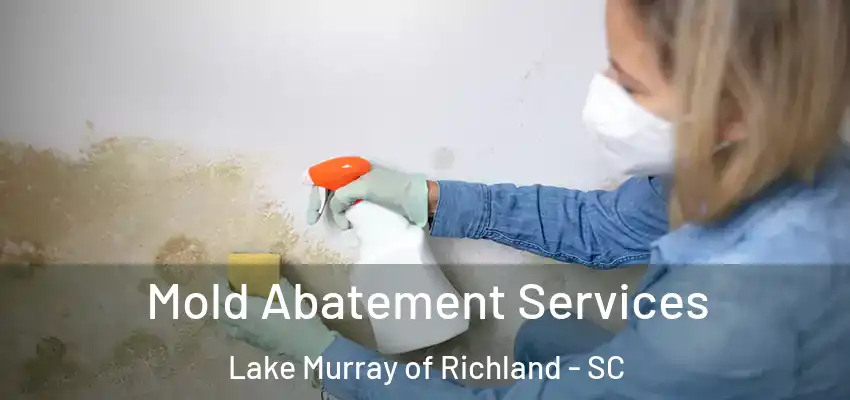 Mold Abatement Services Lake Murray of Richland - SC