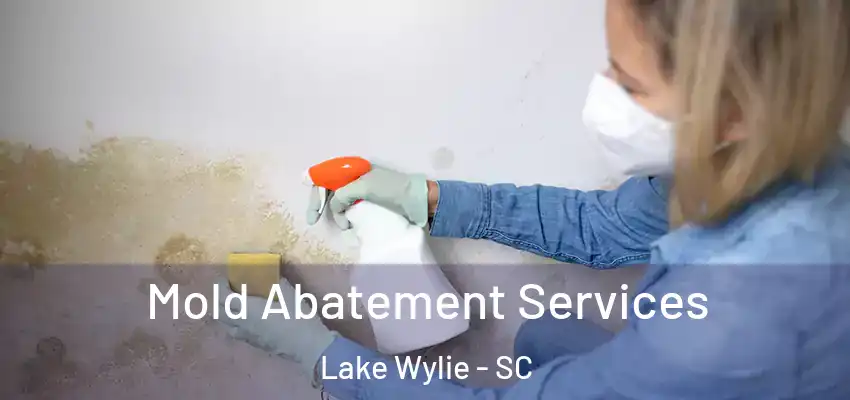  Mold Abatement Services Lake Wylie - SC