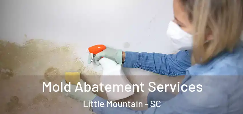 Mold Abatement Services Little Mountain - SC