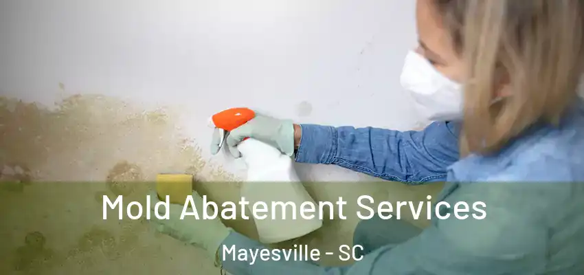 Mold Abatement Services Mayesville - SC