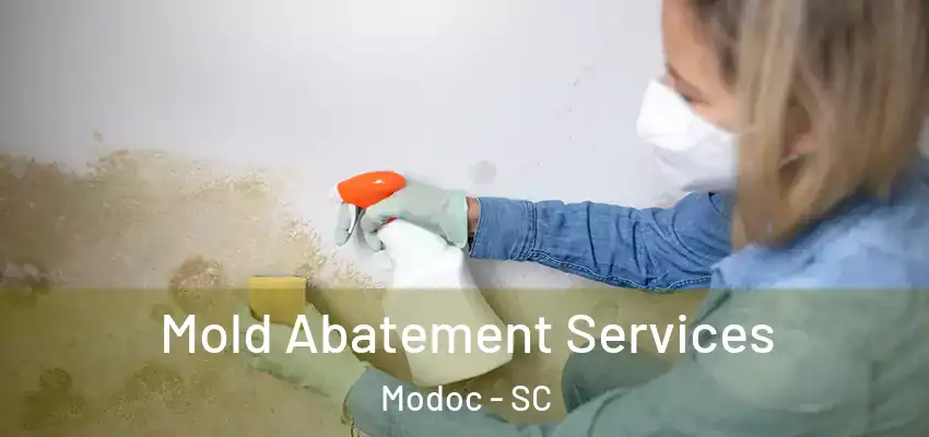  Mold Abatement Services Modoc - SC