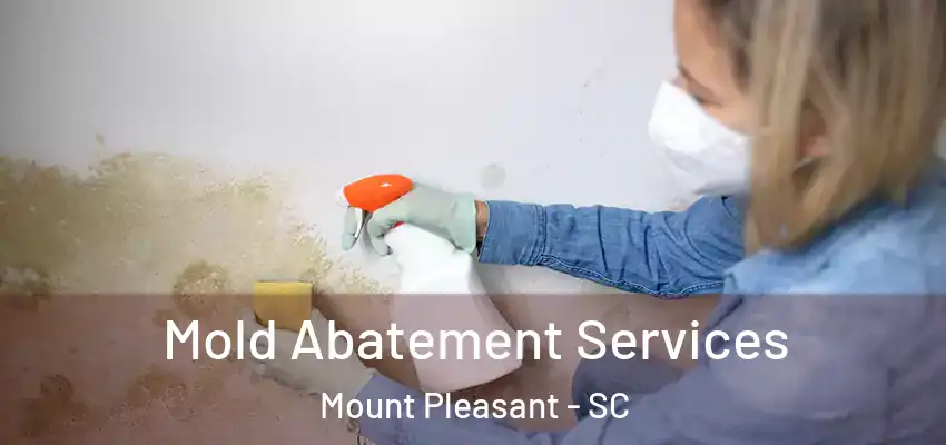  Mold Abatement Services Mount Pleasant - SC