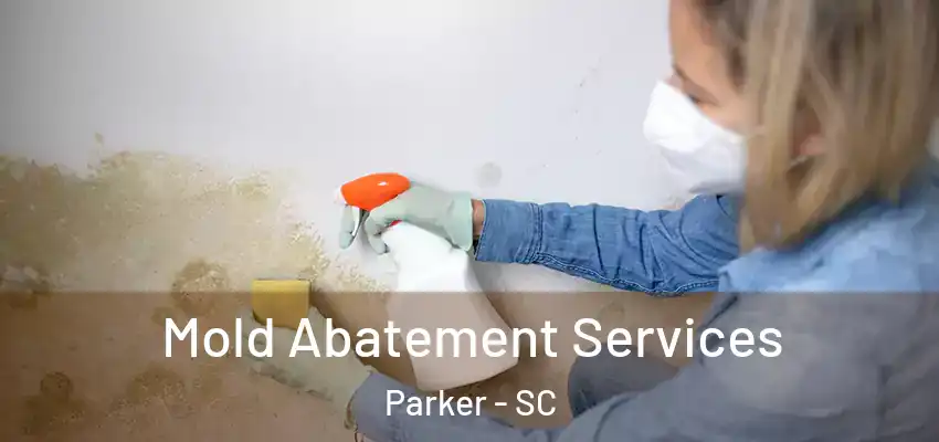 Mold Abatement Services Parker - SC