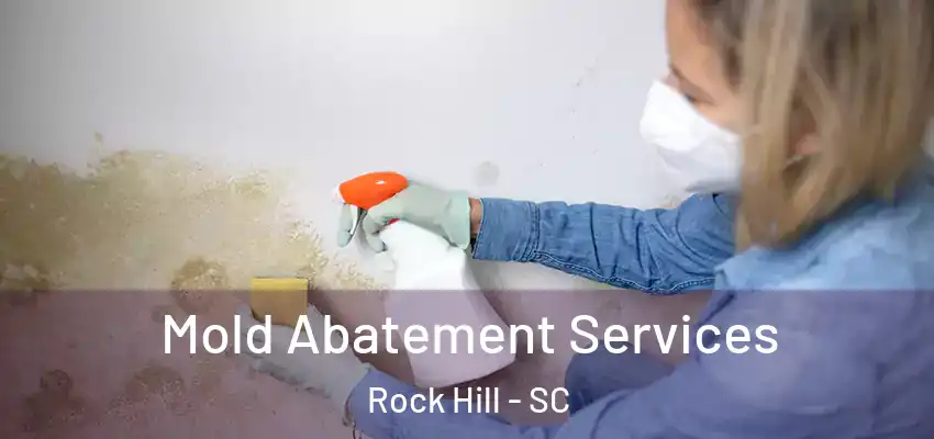  Mold Abatement Services Rock Hill - SC