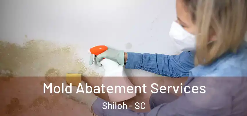 Mold Abatement Services Shiloh - SC