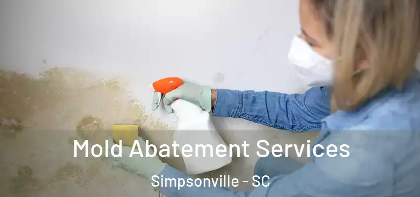  Mold Abatement Services Simpsonville - SC