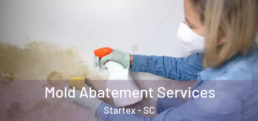Mold Abatement Services Startex - SC