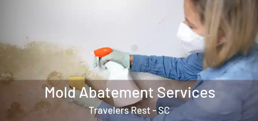 Mold Abatement Services Travelers Rest - SC
