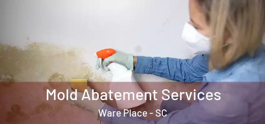  Mold Abatement Services Ware Place - SC