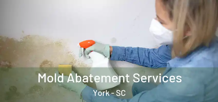  Mold Abatement Services York - SC