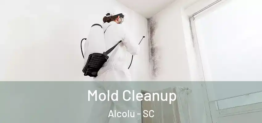 Mold Cleanup Alcolu - SC