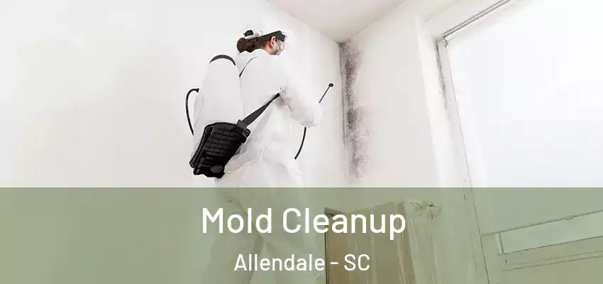  Mold Cleanup Allendale - SC