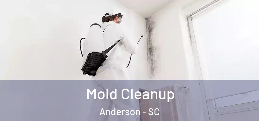 Mold Cleanup Anderson - SC